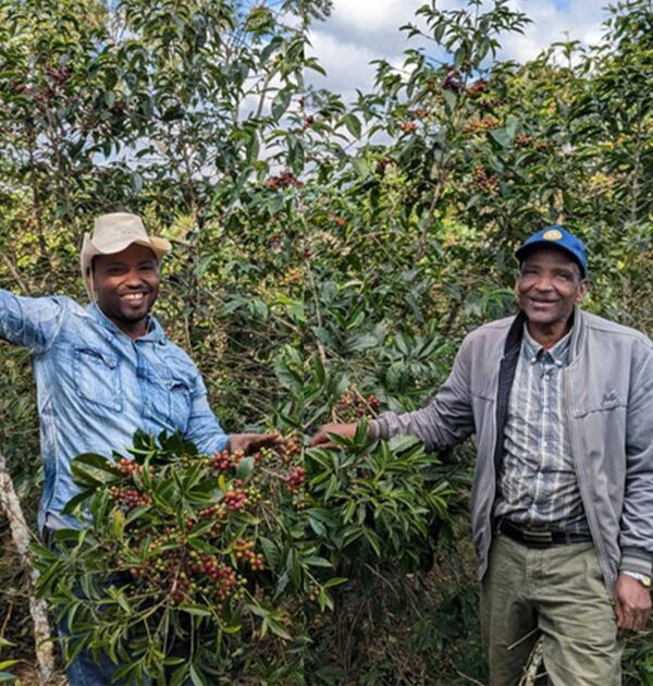 Philo Coffee Photo Basha Bekele